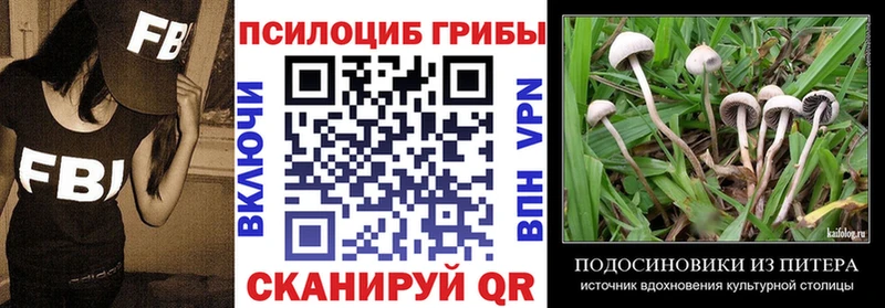 blacksprut рабочий сайт  где найти   Александровск  Псилоцибиновые грибы Psilocybine cubensis 